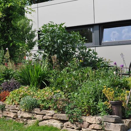 Apartment Am Eck Schmölln Екстериор снимка